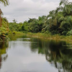 Rivière noire au Bénin : 5 raisons convaincantes de visiter le lieu pour expérience naturelle enrichissante
